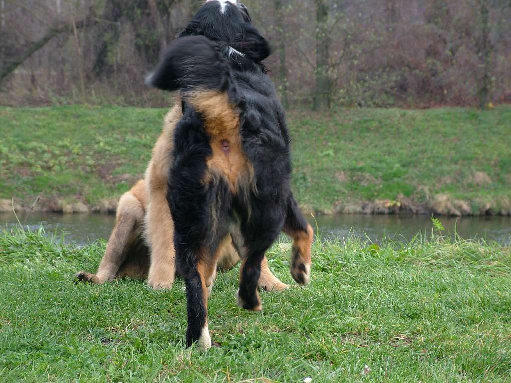 DSCF3785.JPG