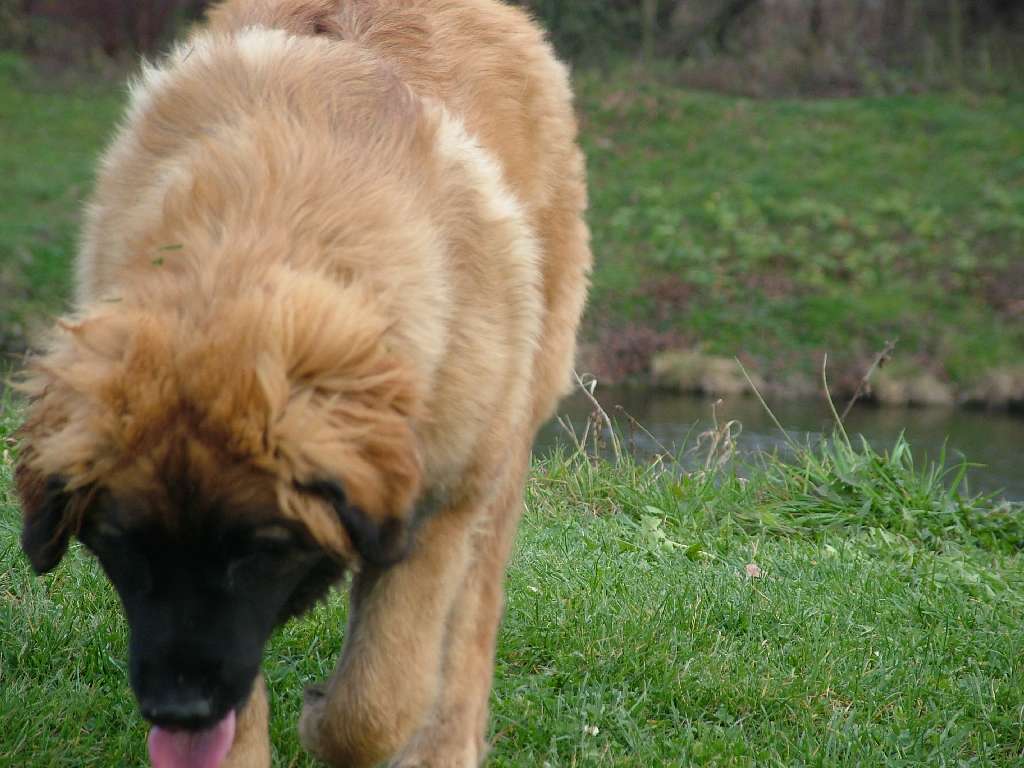 DSCF3788.JPG