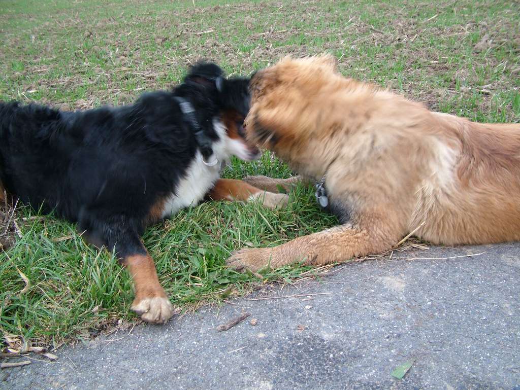 DSCF3797.JPG