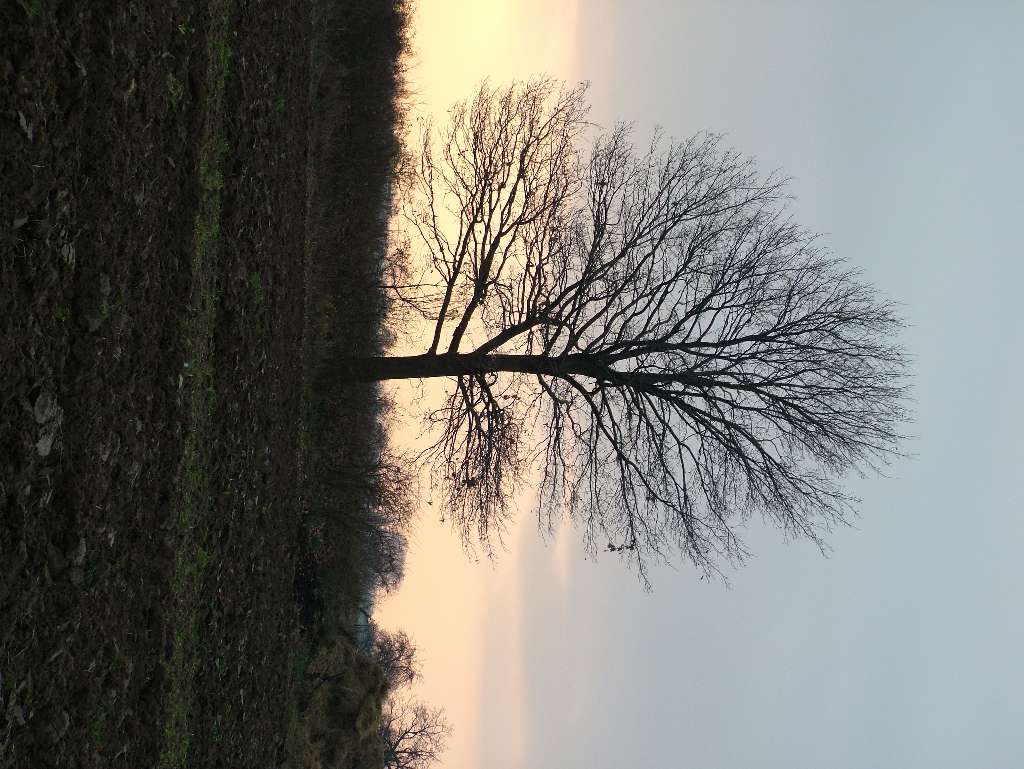 DSCF3799.JPG