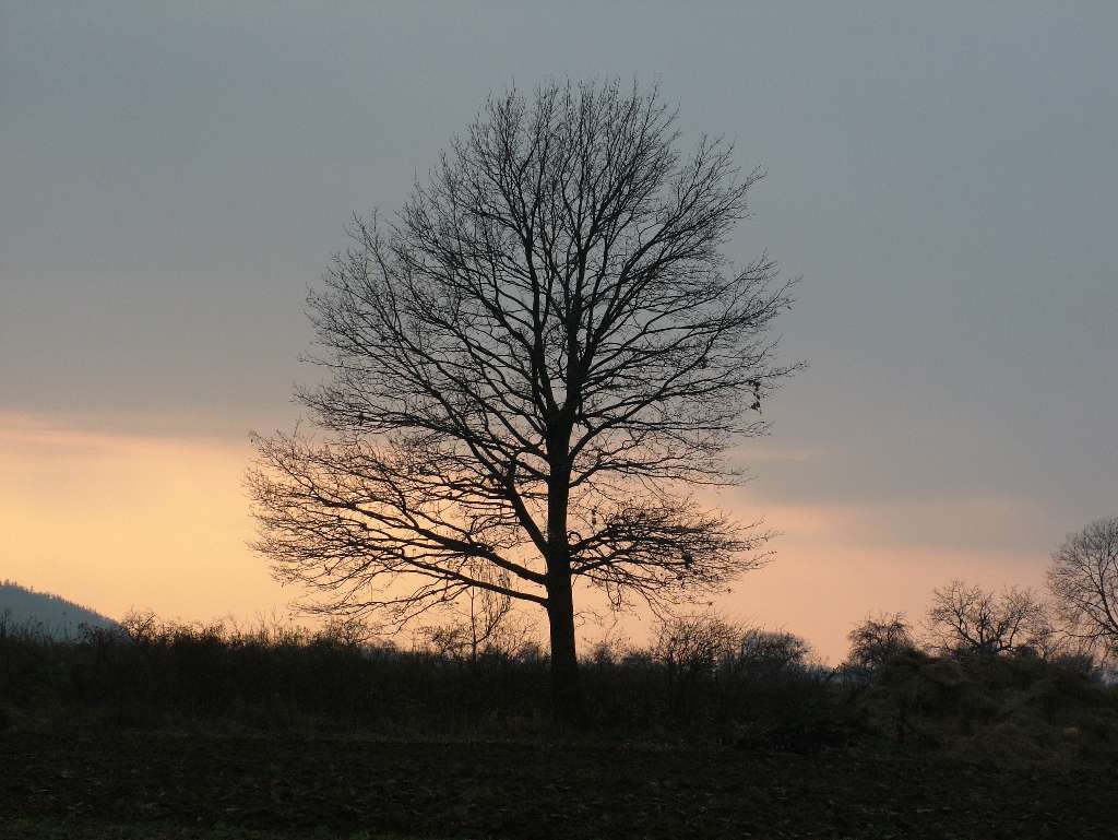 DSCF3801.JPG