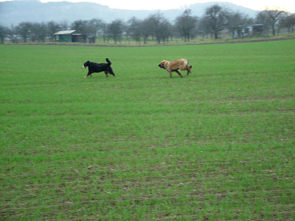 DSCF3810.JPG