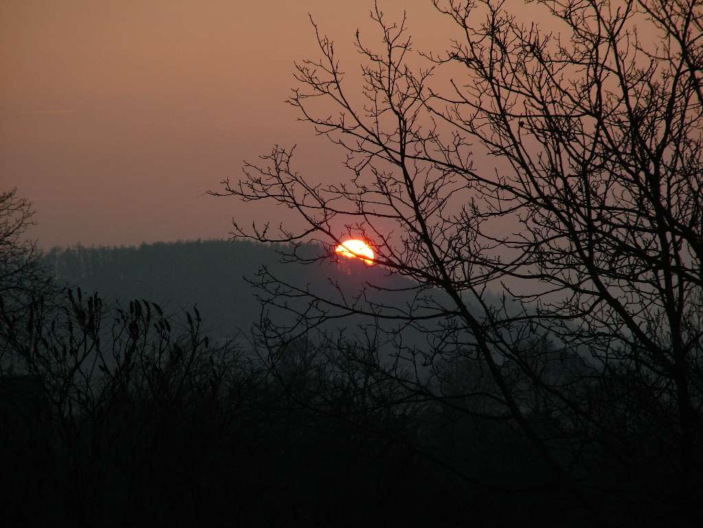 DSCF3824.JPG