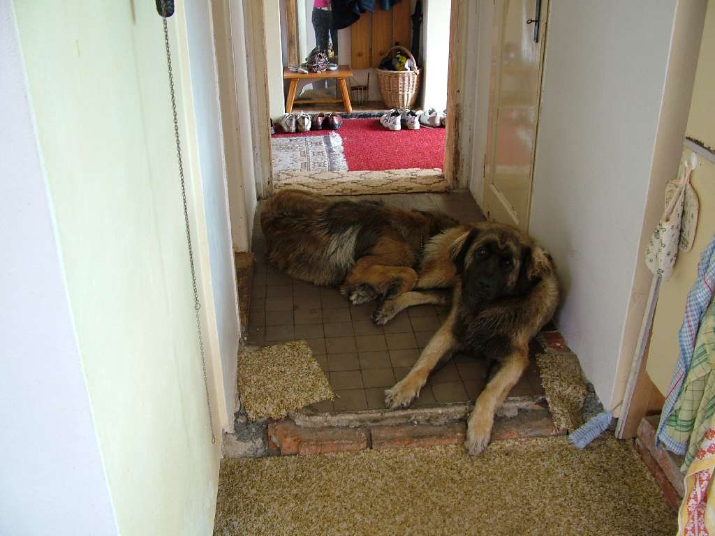 DSCF0518.JPG