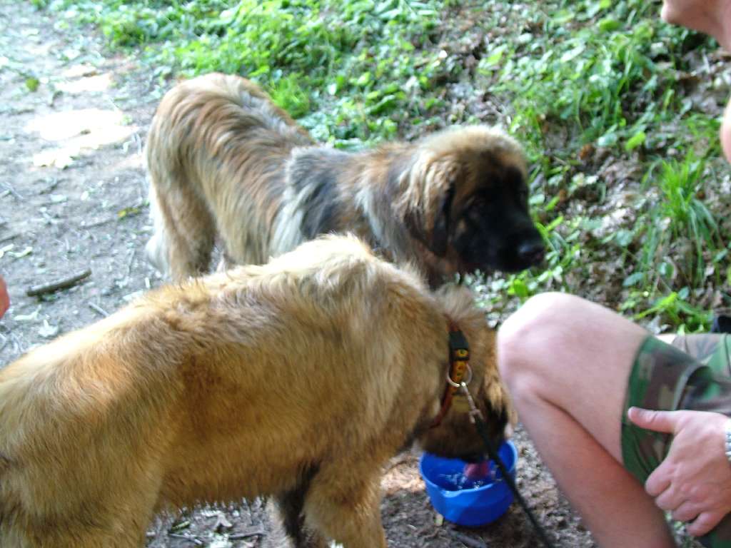DSCF0529.JPG