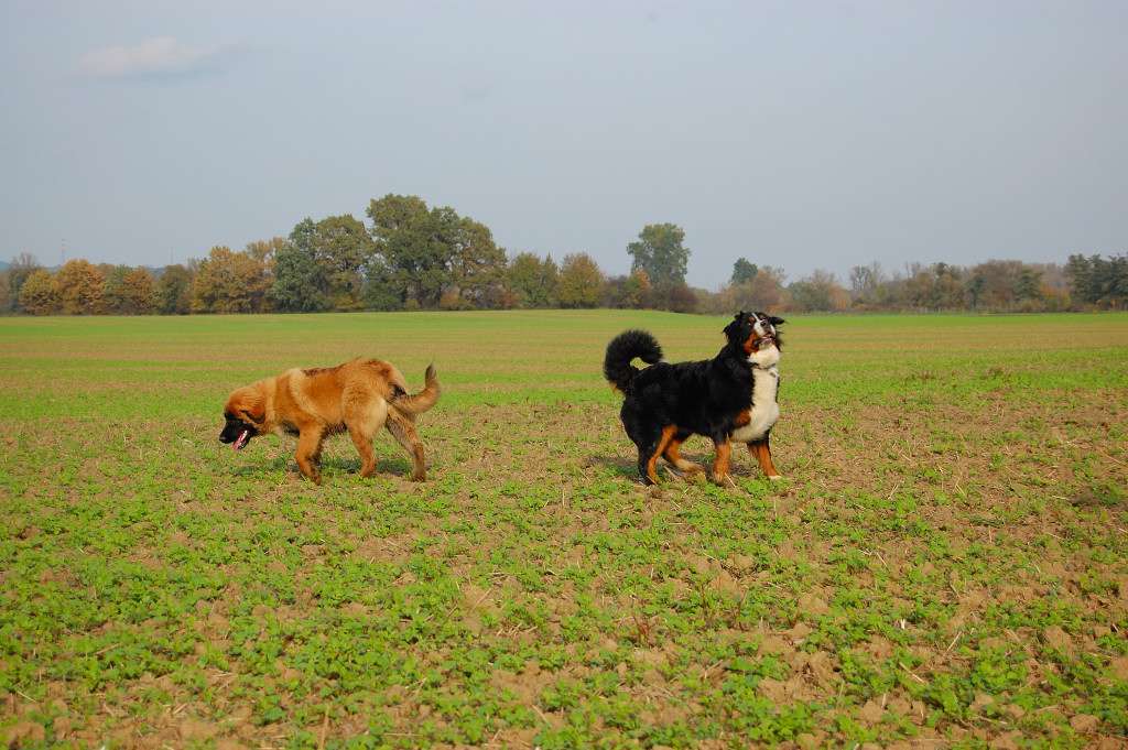DSC_00050003.JPG