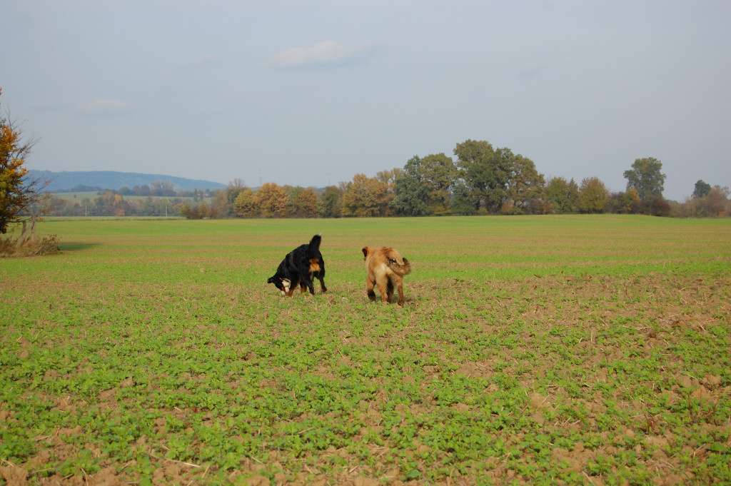 DSC_00060004.JPG