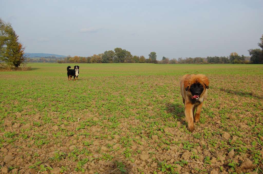 DSC_00080006.JPG