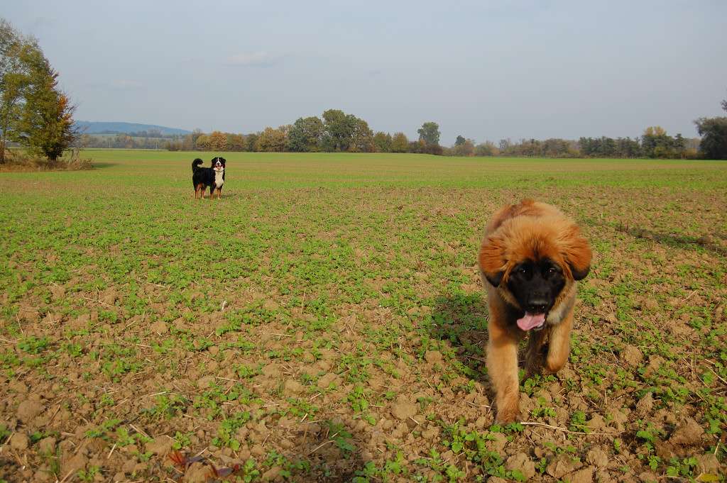 DSC_00090007.JPG