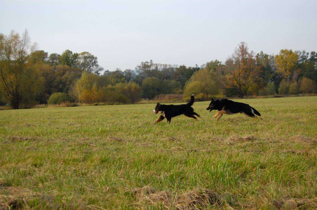 DSC_00150013.JPG