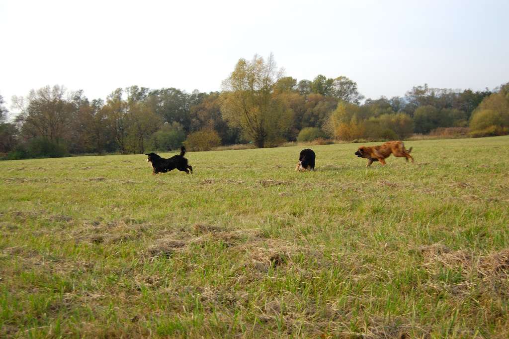 DSC_00160014.JPG