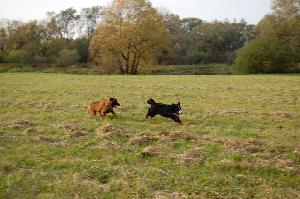 DSC_00200018.JPG