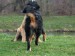 DSCF3785.JPG