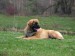 DSCF3786.JPG