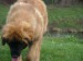 DSCF3788.JPG