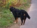 DSCF3789.JPG