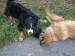 DSCF3796.JPG