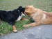 DSCF3797.JPG