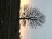 DSCF3799.JPG