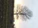 DSCF3800.JPG