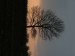 DSCF3802.JPG