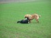 DSCF3808.JPG
