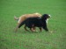 DSCF3809.JPG