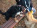 DSCF3812.JPG