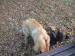 DSCF3814.JPG