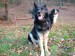 DSCF3815.JPG