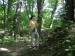 DSCF0521.JPG