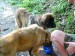 DSCF0529.JPG