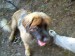 DSCF0533.JPG