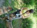 DSCF0539.JPG