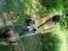 DSCF0540.JPG