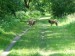 DSCF0545.JPG