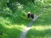 DSCF0546.JPG