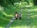 DSCF0548.JPG
