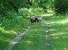 DSCF0549.JPG