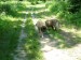DSCF0554.JPG