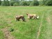 DSCF0562.JPG