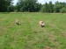 DSCF0563.JPG