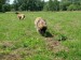DSCF0564.JPG