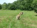 DSCF0569.JPG