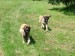 DSCF0570.JPG