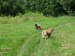 DSCF0571.JPG