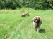 DSCF0573.JPG