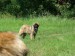 DSCF0575.JPG