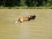DSCF0579.JPG