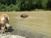 DSCF0584.JPG